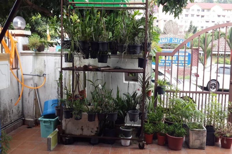 WhatsApp Image 2019-07-23 at 10.31.52 AM.jpeg